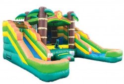 double20palm20tree20slide 1709335169 Double Slide Palm Tree #9( Contact For Booking)