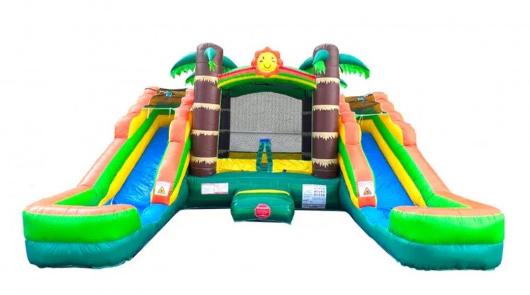 Double Slide Palm Tree #9( Contact For Booking)