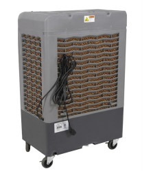 Cooler20fan202 1750803528 Port-A-Cooler